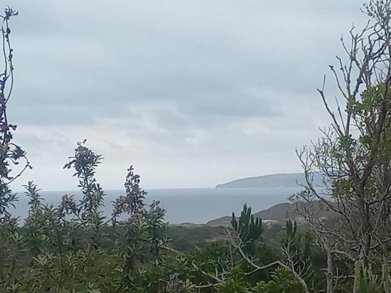 2 Bedroom Property for Sale in Wilderness Western Cape